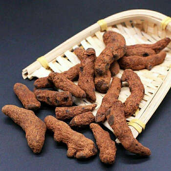 云南野生中药材血三七02 血三七100克