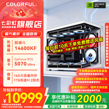 七彩虹RTX5070Ti/5080显卡/i7 14700KF/U7 265KF/三角洲行动游戏电竞直播台式组装电脑主机整机DIY组装机 i5 14600KF+RTX5070丨配置四