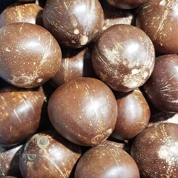 海南牛奶大椰皇4/6/9个新鲜当季水果椰皇老椰子肉椰汁椰奶冻 9个