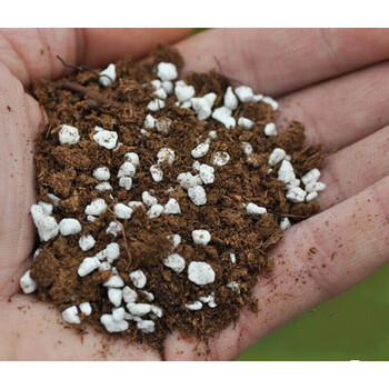 汉利仕食虫植物专用土小虫草堂种植土营养土壤泥炭土介质水苔捕蝇草专用土 160克含水苔 松散状态约1升 图片价格品牌报价 京东