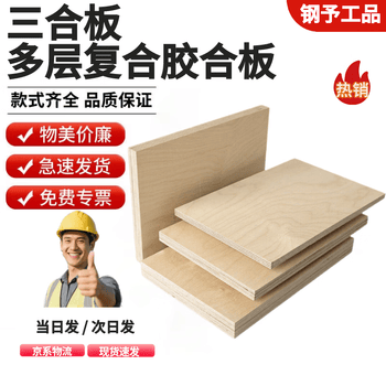 钢予工品 三合板多层板胶合板建筑木板 工地木工板整张防水木板定制胶合板隔板定做 一张 2440*1220*10mm
