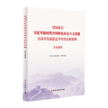 文化建设（贯彻落实习近平新时代中国特色社会主义思想在改革发展稳定中攻坚克难案例）