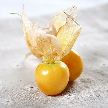 娘黄姑娘果现摘现发甜菇娘新鲜应季水果东北特产 姑娘果【酸度稍高】