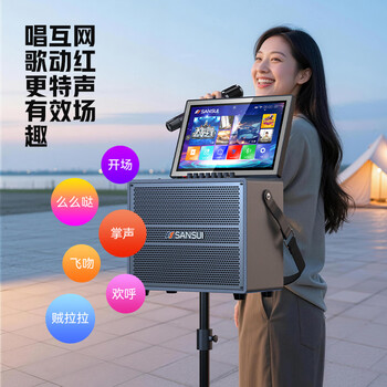 山水（SANSUI）家庭ktv音响套装家用室内音响2026新款音响户外k歌一体机广场舞音响专用设备蓝牙音箱便携式低音炮 C53A【三年K歌会员+金属充电双麦+支架】 - 4