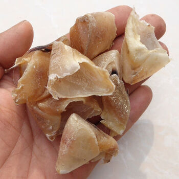 【京品严选】生猪蹄甲 生猪爪甲 生猪退 猪悬蹄 猪蹄合子 猪悬蹄甲中