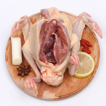 现杀5年老鸽子肉新鲜农家土鸽子煲炖汤乳鸽肉现杀团购生鲜端午节团建