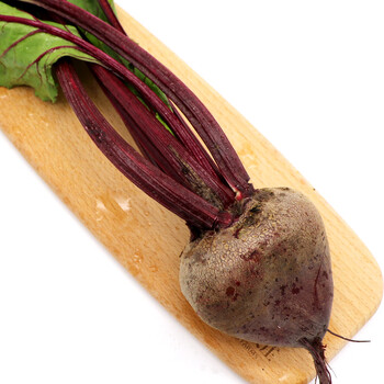 溯朴农庄 红菜头 400g