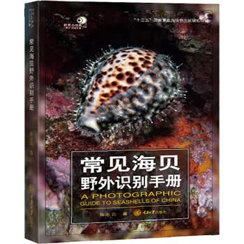 常见海贝野外识别手册