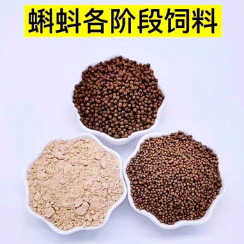 宠物小蝌蚪幼蛙饲料食物饲料蛙类颗粒粉末饲料牛蛙青蛙蝌蚪饲料蝌蚪