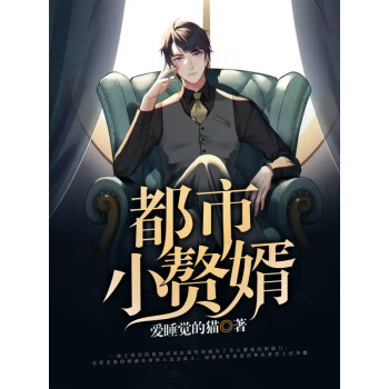 都市小赘婿pdf/doc/txt格式电子书下载