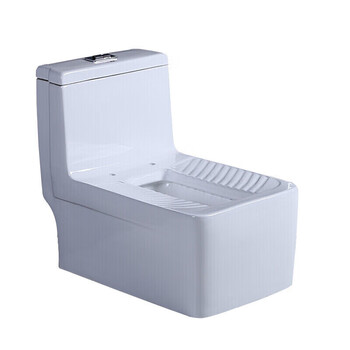 toto 蹲坐两用马桶 台式蹲便器 连体双用坐便器二合一家用蹲 不带盖板