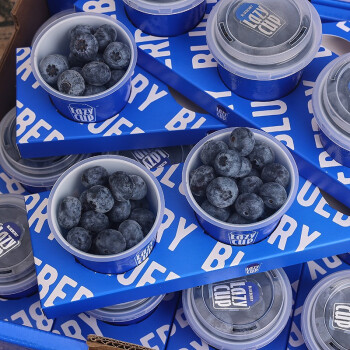 顺丰空运新鲜云南蓝莓鲜果盒装应季时令水果整箱大果约125g盒新老包装