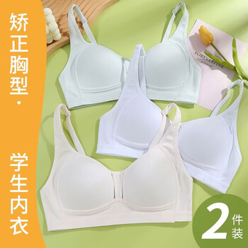 蒂淑兰高中生内衣女初中学育期棉大胸显小定型女孩少女文胸tt温婉肤