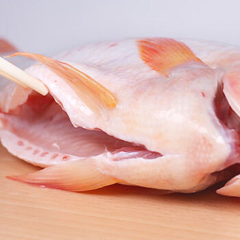 仙泉湖三去星洲红罗非鱼净膛500600g彩虹鲷烤食材海鲜水产