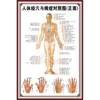 中醫養生人體經絡穴位圖大掛圖全身高清穴位艾灸推拿背部針灸海報 005