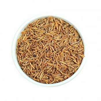 内廷上用中药材五谷虫无谷虫蛆蝇蛆干水仙子无硫散装50g克水仙子100克