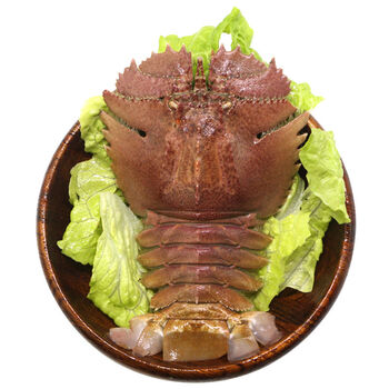 伯贤 东海琵琶虾新鲜九齿扇虾海鲜深海海虾2斤装 琵琶虾