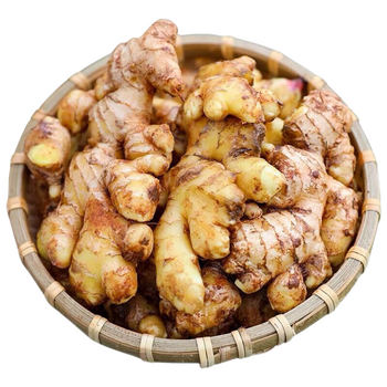 瀚部云南小黄姜农家自种新鲜蔬菜沙地现挖小黄姜 沙姜 月子姜 1.