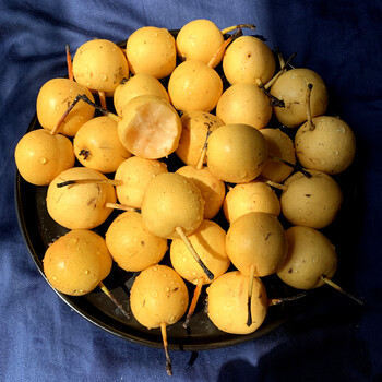 媚调 东北香水梨新鲜水果软糯多汁东北特产水果南果梨5斤整箱 1斤