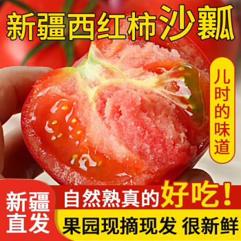 想妮 新疆西红柿新鲜 新疆番茄自然熟精品大番茄 沙瓤西红柿生吃 5斤（12个装）