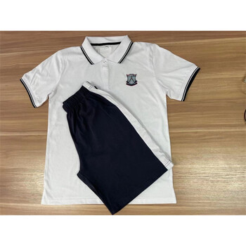 【30天保价】东莞市黄江镇华南师范大学初中校服 华附校服纯棉夏套