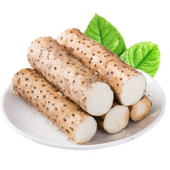 白玉山药 红色