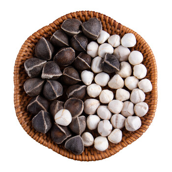 1斤辣木籽辣木 子洲印度 【中大籽500g】瓶装,直径