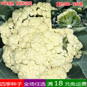 蔬菜种子花椰菜种子松花菜西兰花西蓝花宝塔菜紫甘蓝包心菜紫菜花80天有机松花菜原包约0粒 图片价格品牌报价 京东