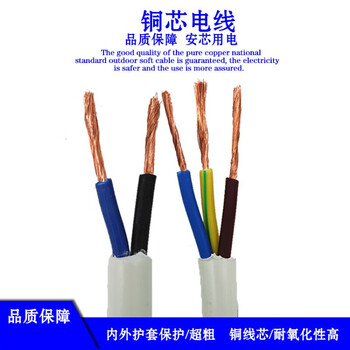 定制国标2芯3芯x1.5 2.5 4 6平方白色家装铜芯软电线电缆线aa 2芯1.