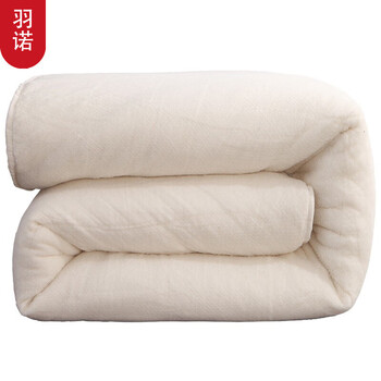 秋冬被纤维棉花被加厚单人棉胎垫被棉絮褥子双人被芯152米6斤