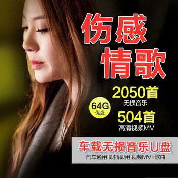 九头鸟64g车载u盘带歌曲32g16g汽车抖音款流行音乐4g优盘mp3汽车用u盘
