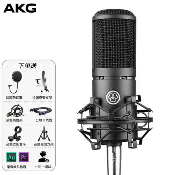 爱科技（AKG） P120电容麦克风有声书录音专业设备直播k歌电台小说配音播音录书话筒套装 AKG P120标配支架线材套装