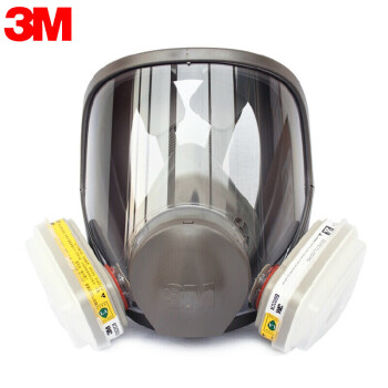 3M 防毒口罩全面具全面型防护面罩（中号)6800 面罩酸性气体防护套装 6800+6002滤毒盒 