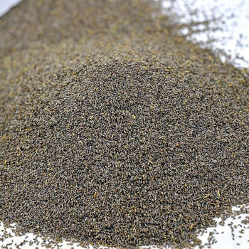 内蒙古野生沙蒿籽沙蒿子蒿籽医味 1000克