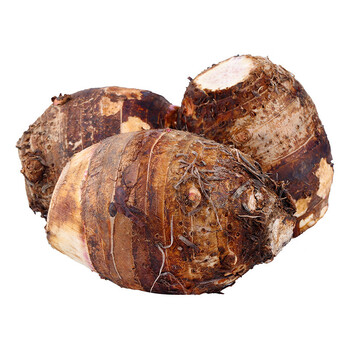 新鲜广西 应季香糯魁芋农家自种毛芋头 头 5斤- 精品大果