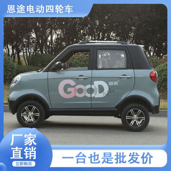 麦酷威新款恩途t6p电动四轮车油电两用居家接送孩子老人出行代步小型