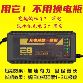 電動車電瓶充電器48v12ah60v20ah72愛瑪雅迪三輪通用 6個燈 72v20ah