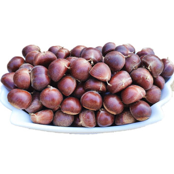 生新鲜栗子河北板栗野生大油栗子燕山板粟甜 3斤313大的