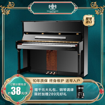 威廉森堡(williamsonbo)京东定制dw系列立式钢琴dw-120 家用教学 120
