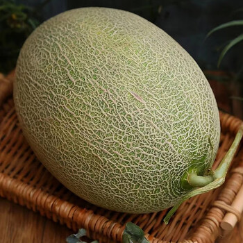 新疆西州蜜25号哈密瓜 新鲜密瓜 (净重7.5斤±250g)3-4个量贩装