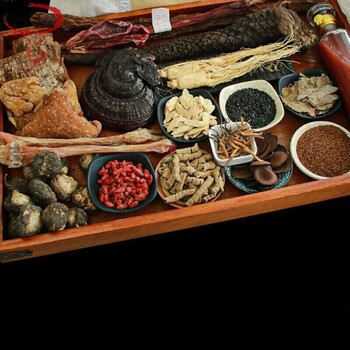 x09泡酒料材肉苁蓉锁阳男性滋补