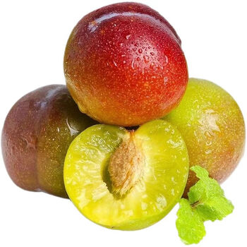 美味香遇青脆李 青红李子 半边红茵红甜心凤凰五月脆 李子 2斤装