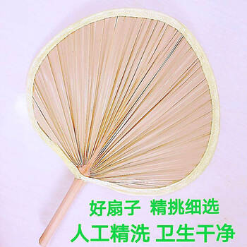 扇子蒲扇古风扇子芭蕉扇扇子蒲扇子老式扇子夏天舞蹈绘画葵扇大号好