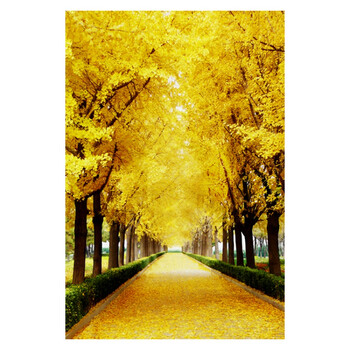 澳颜莱金元宝黄金满地走廊过道进门处自粘壁画墙贴画黄金大道玄关