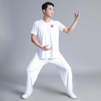 逐波太极服女夏装 莫代尔太极拳练功服男 武术大码运动服太极协会表演