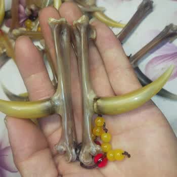 竹根雕手把件鸡爪骨手把件鸡蹬骨子鸡爪骨把件老鸡拐子抓钱手文玩.