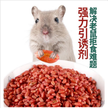 bmoi玖纹豹耗子药老鼠药长期一窝端烈性三步强力家用高效灭鼠药神器高