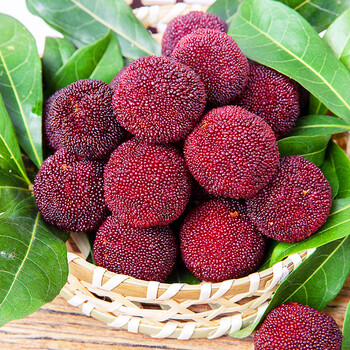 新鲜云南大杨梅 荸荠杨梅 时令当季生鲜水果 8盒装24颗/盒