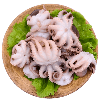 诺斯食美 海鲜八爪鱼海鲜小章鱼海鲜鲜活八爪鱼章鱼爆头火锅食材新鲜