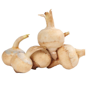 荔芋香新鲜茨菇桂林白茨菰水洗白慈姑慈菇4500g